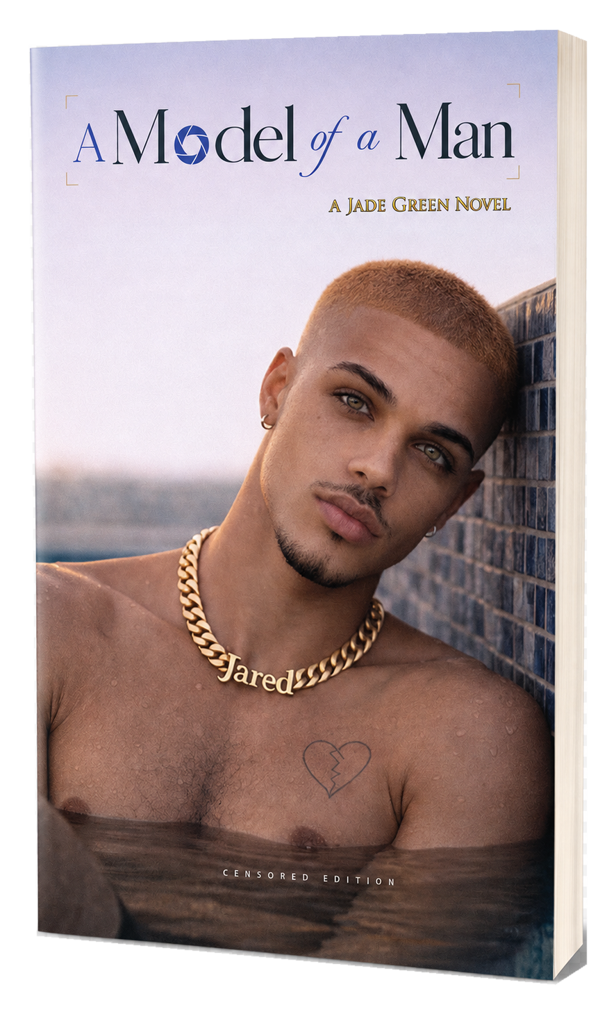 A Model of a Man book image